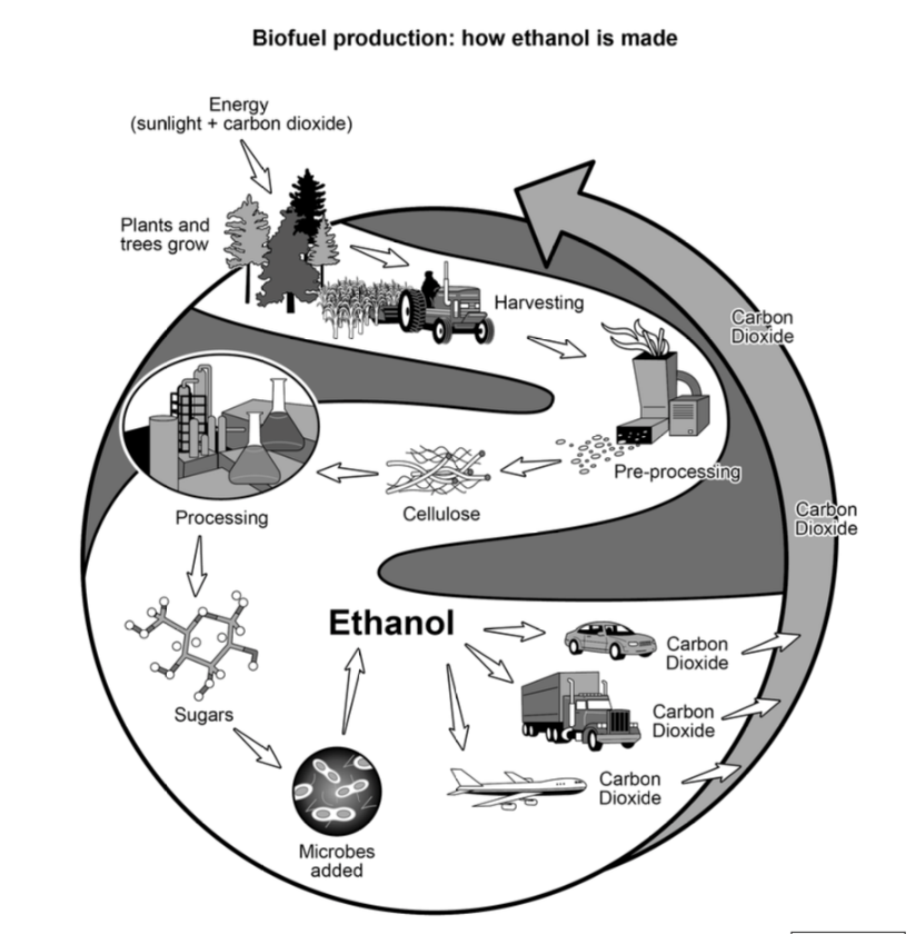 Ethanol production diagram