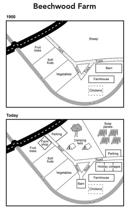 Diagram placeholder